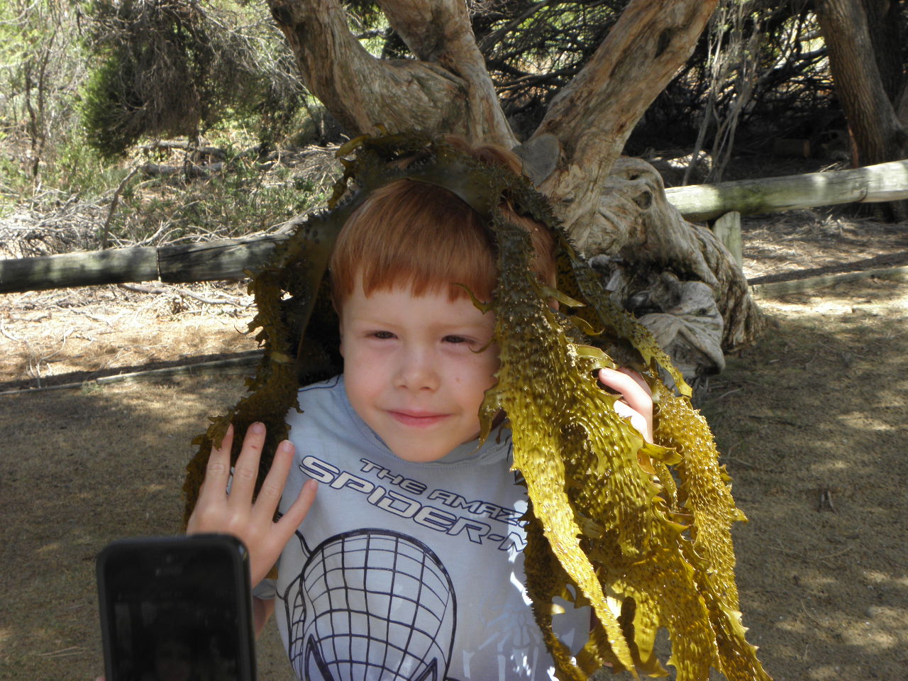 Joshy, the sea monster Joshy, the sea monster