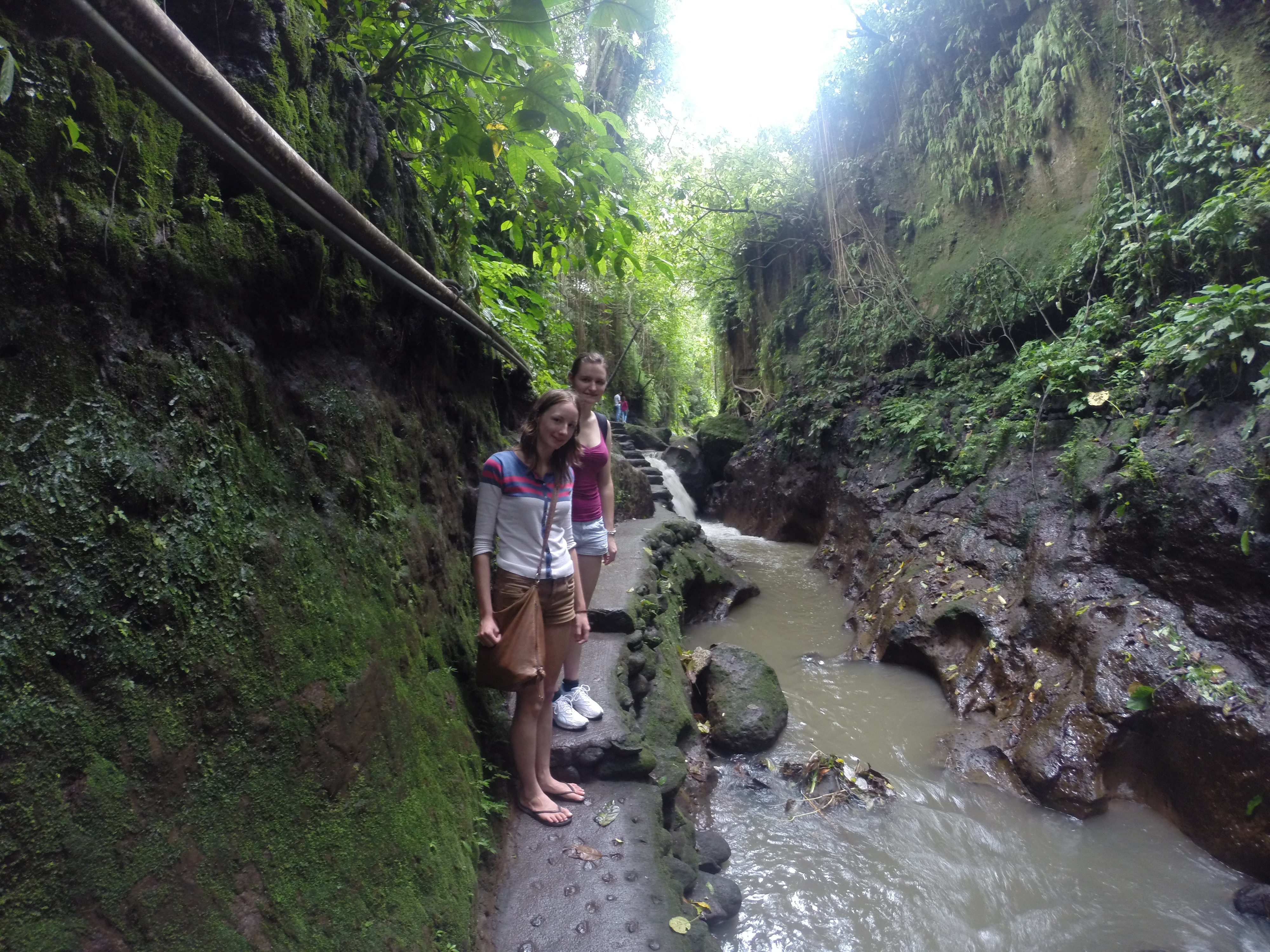 Ubud Monkey Forest