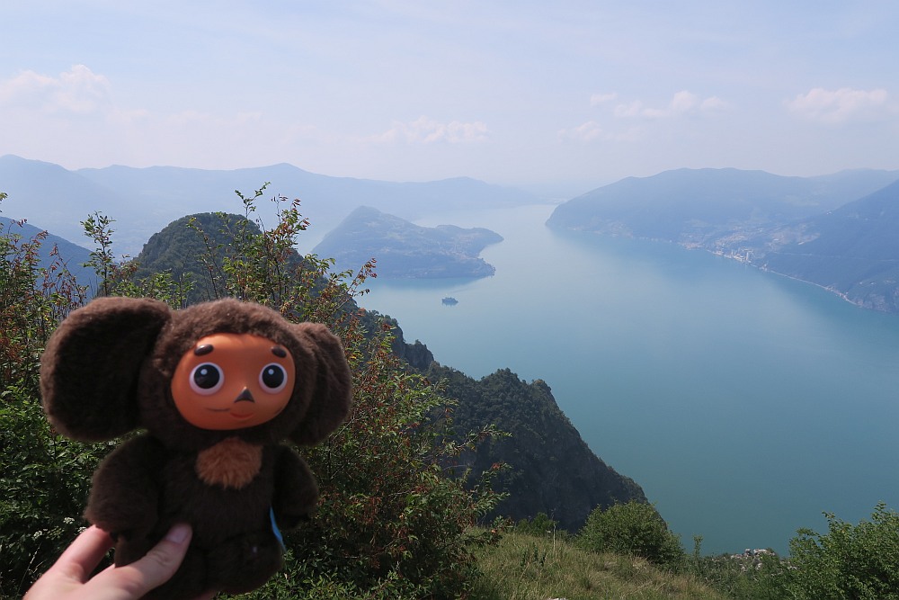 Cheburashka enjoying the views