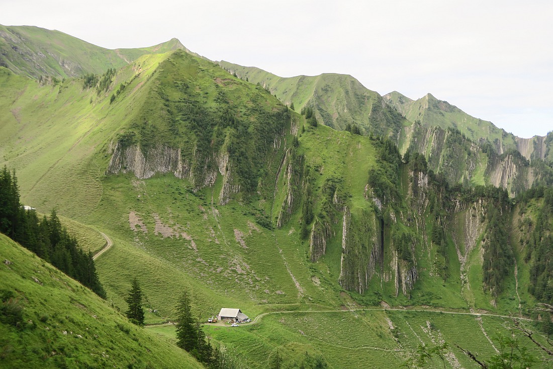 A farm, we passed on the way to the top