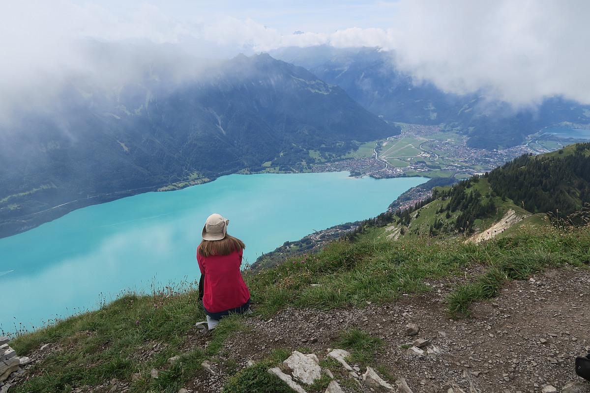 On top of Suggiture