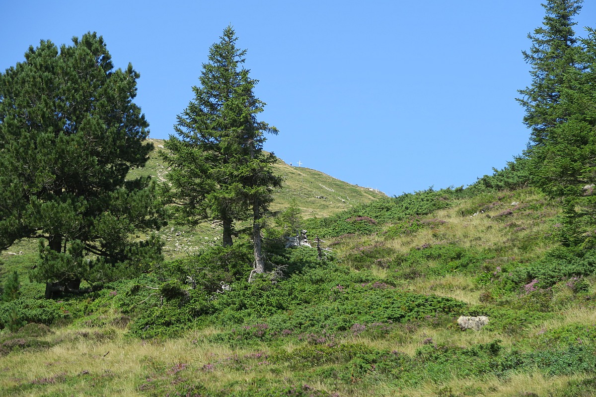 Looking back up to Fürstein Looking back up to Fürstein