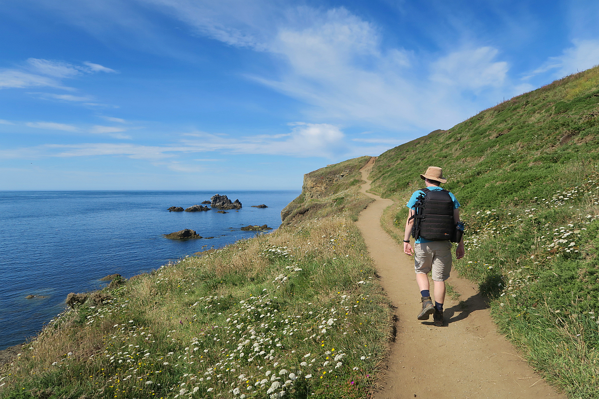 Lizard to Kynance Cove Walk