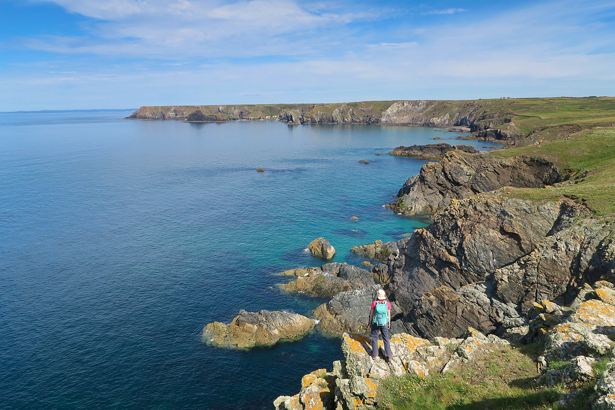 Lizard to Kynance Cove Walk