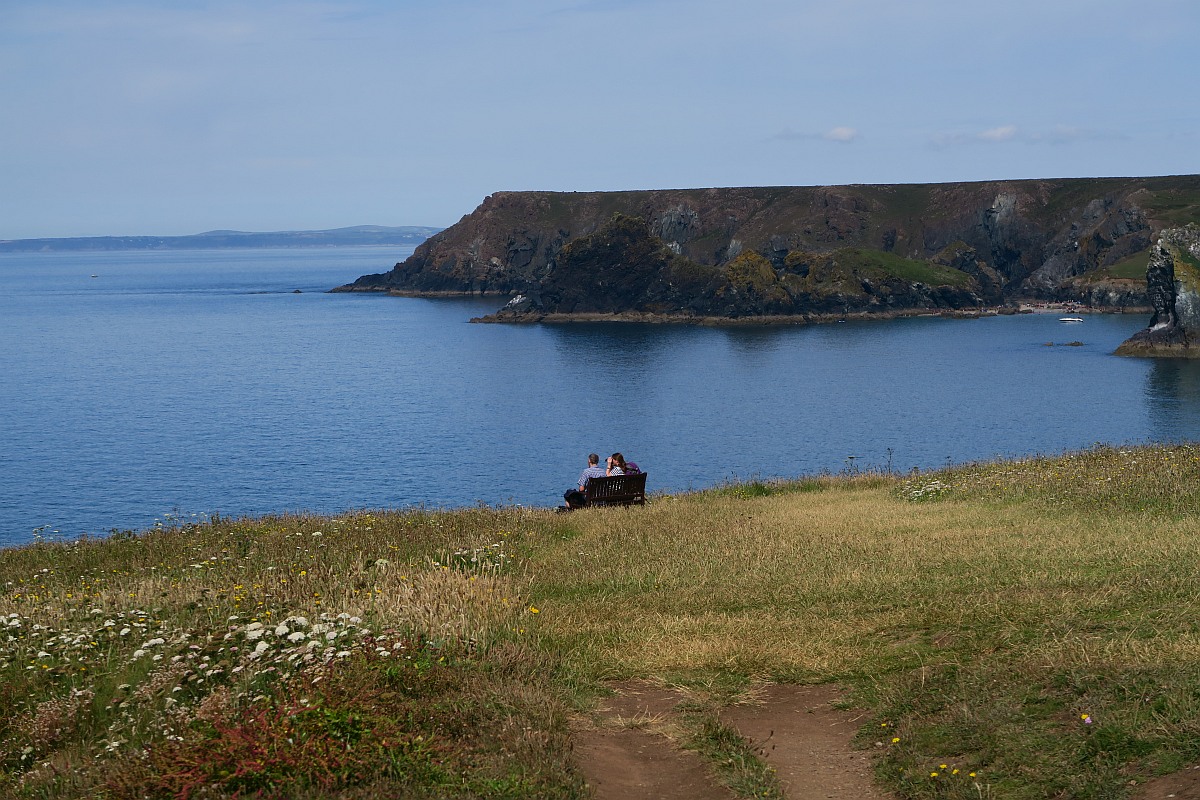 Lizard to Kynance Cove Walk