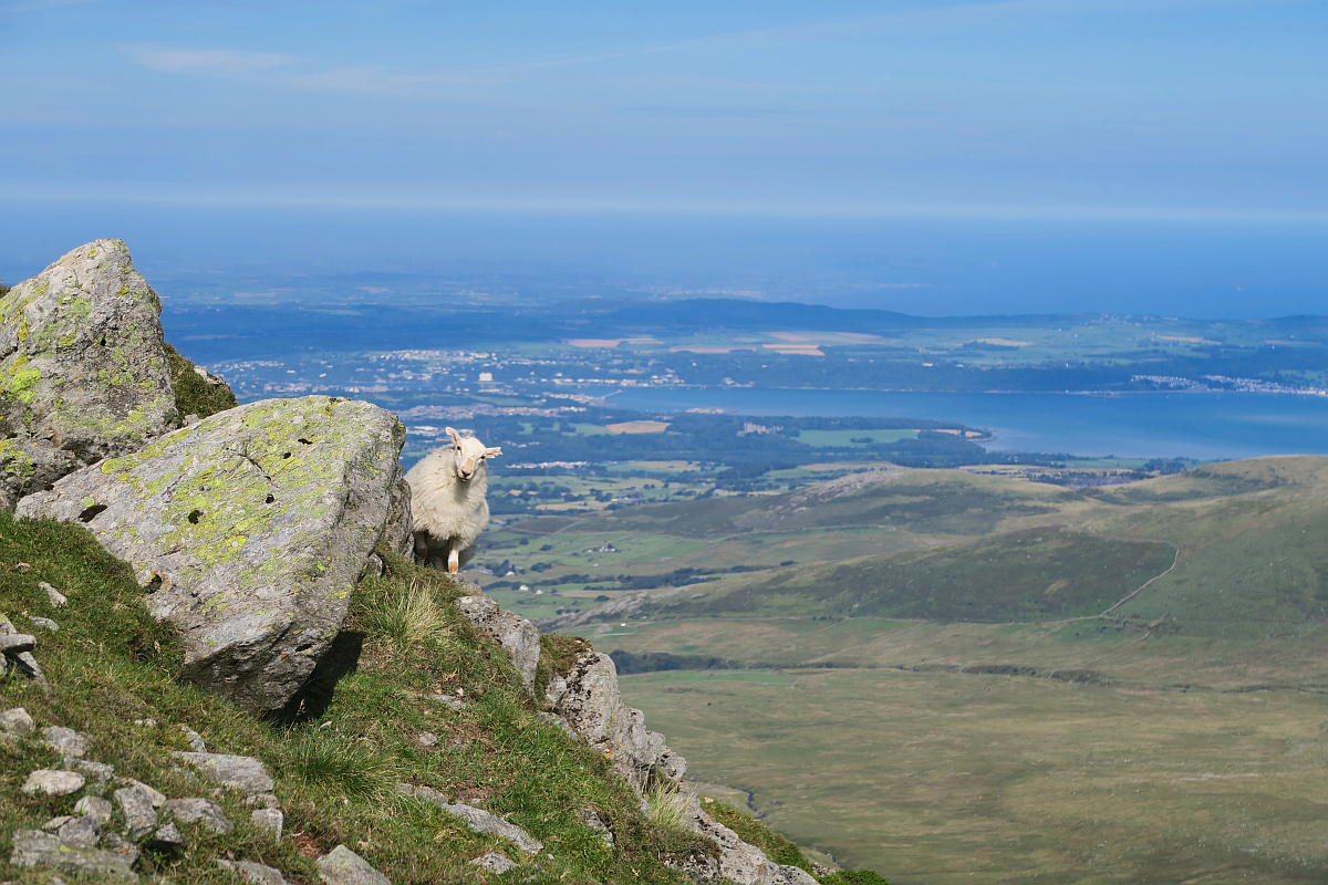 Carneddau, Snowdonia