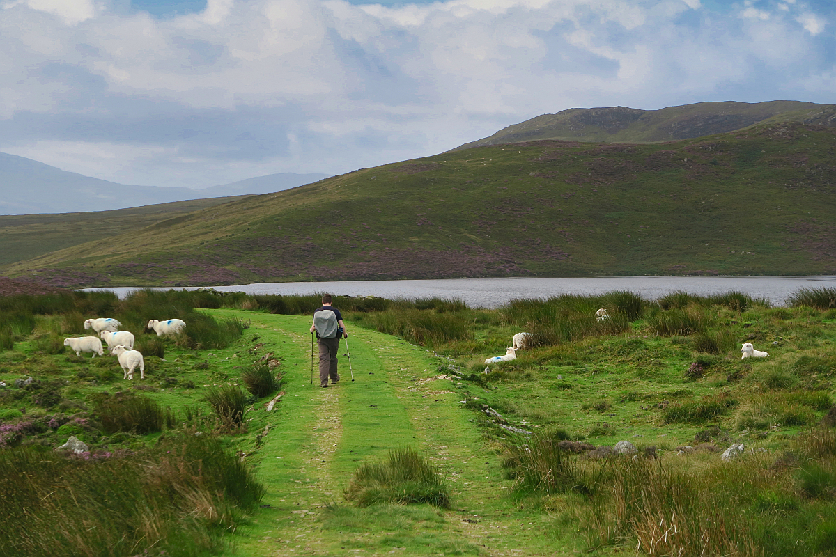 Llyn Arenig