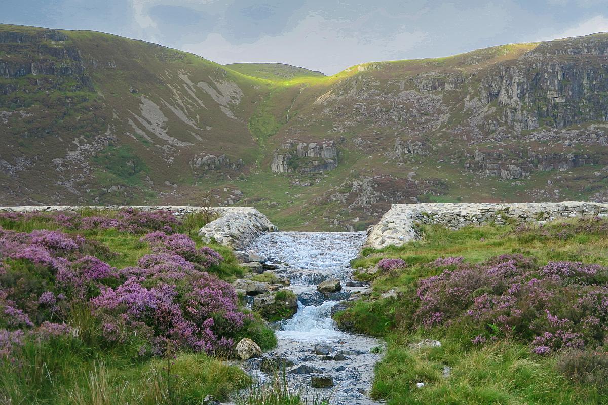 Llyn Arenig