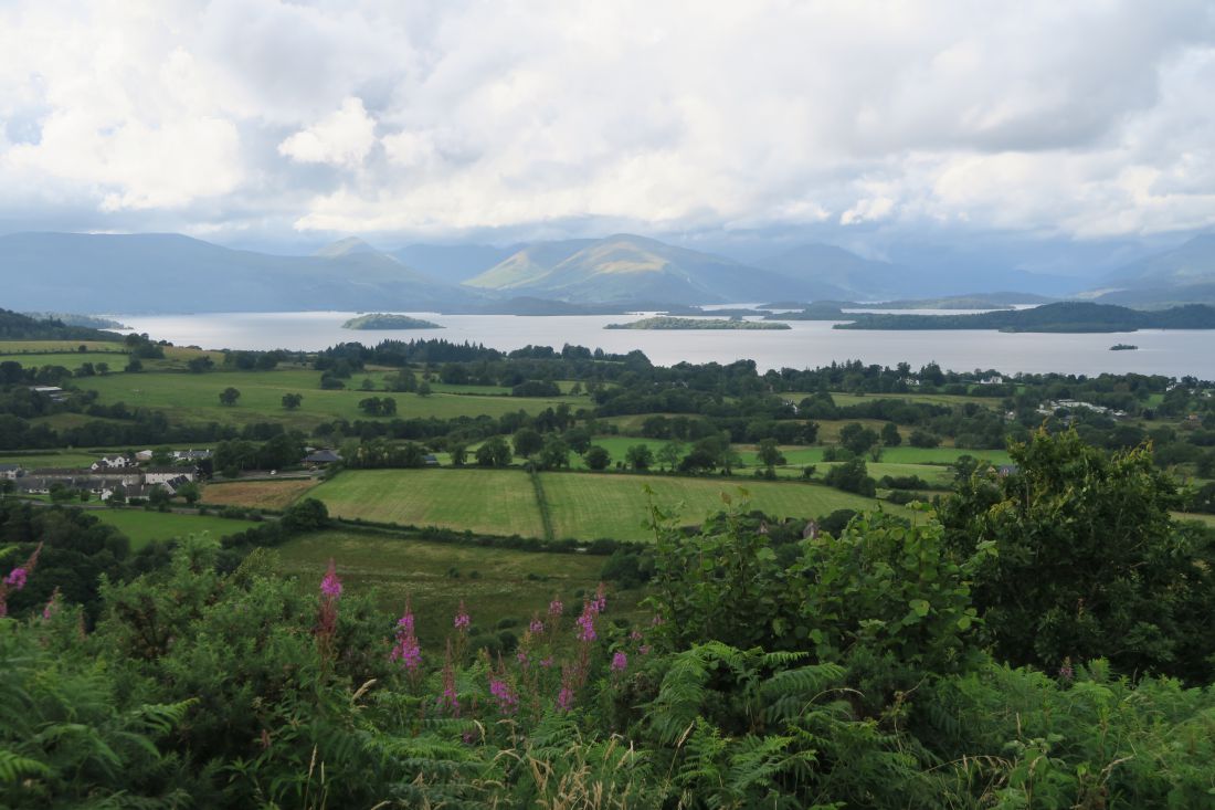 Loch Lomond Bird of Prey Centre — See Loch Lomond :: What to do in Loch Lomond and Trossachs