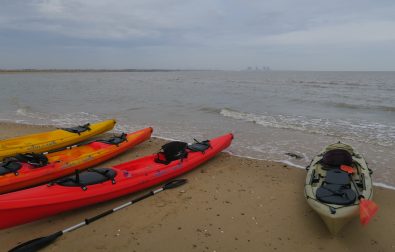 day-trip-from-london-kayaking-with-seals