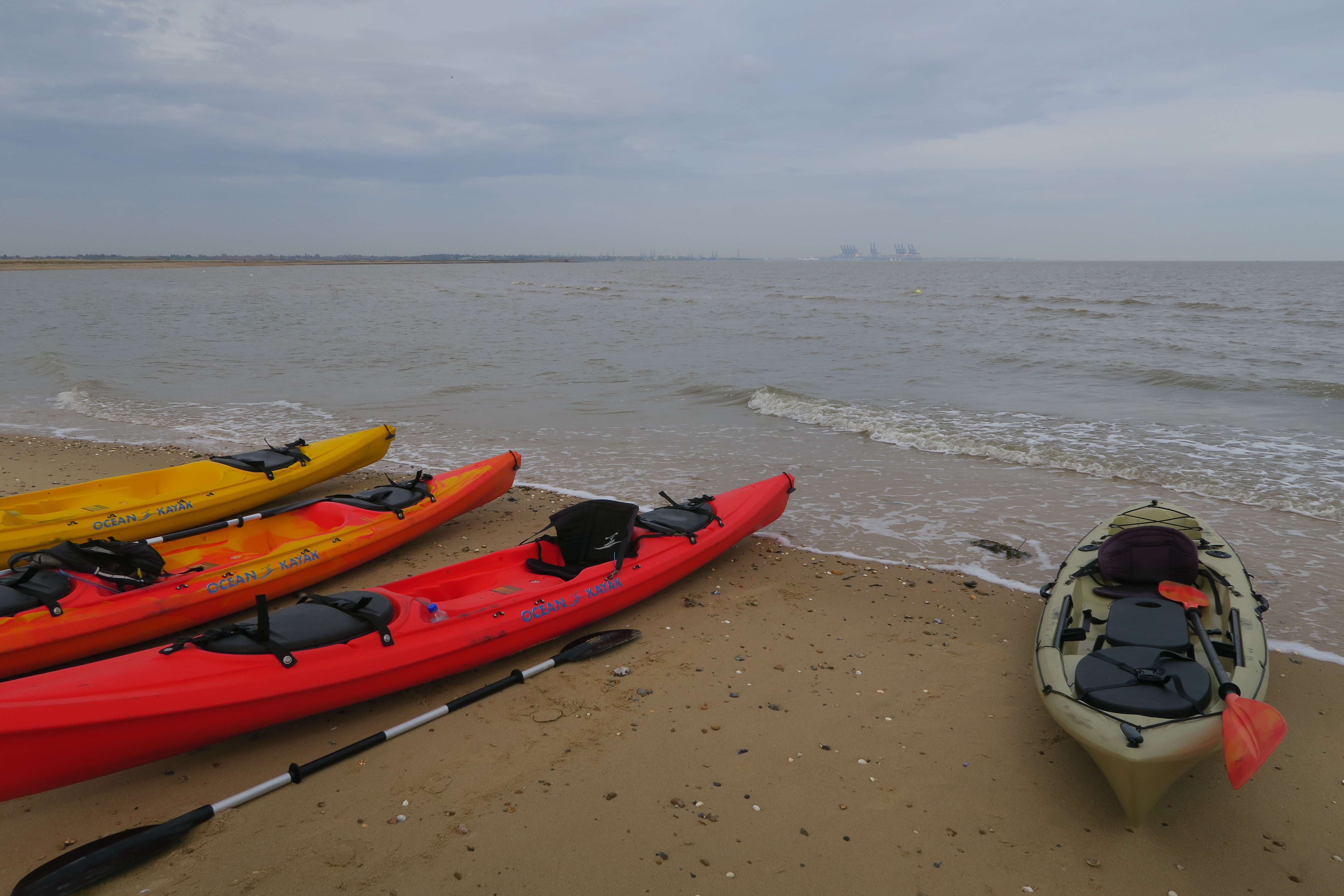day-trip-from-london-kayaking-with-seals