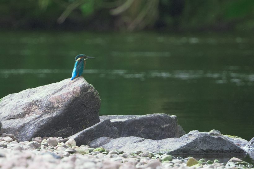 canoeing-the-river-wye-canoe-camping-from-glasbury-to-lucksall