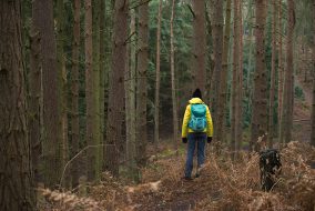 Rushmere Country Park