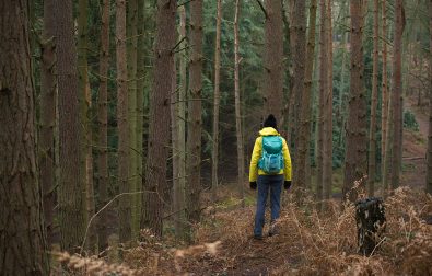 exploring-rushmere-country-park