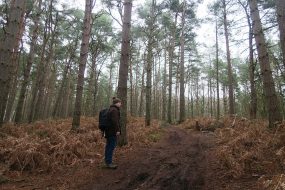 Rushmere Country Park