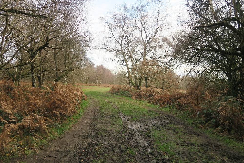 Tring to Ivinghoe Beacon