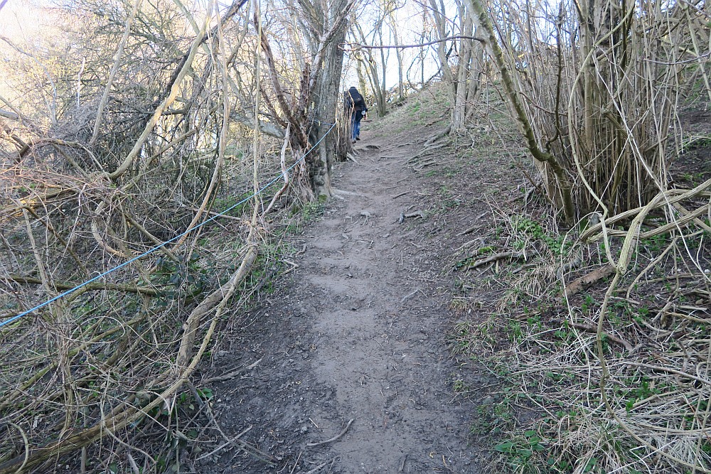 Walk to Sharpenhoe Clappers