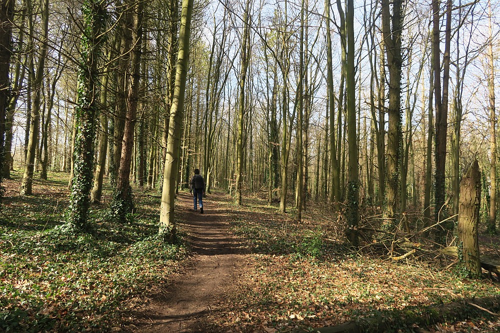 Kensworth Quarry Circular walk