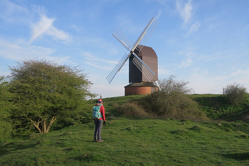 brill-windmill-circular-walk
