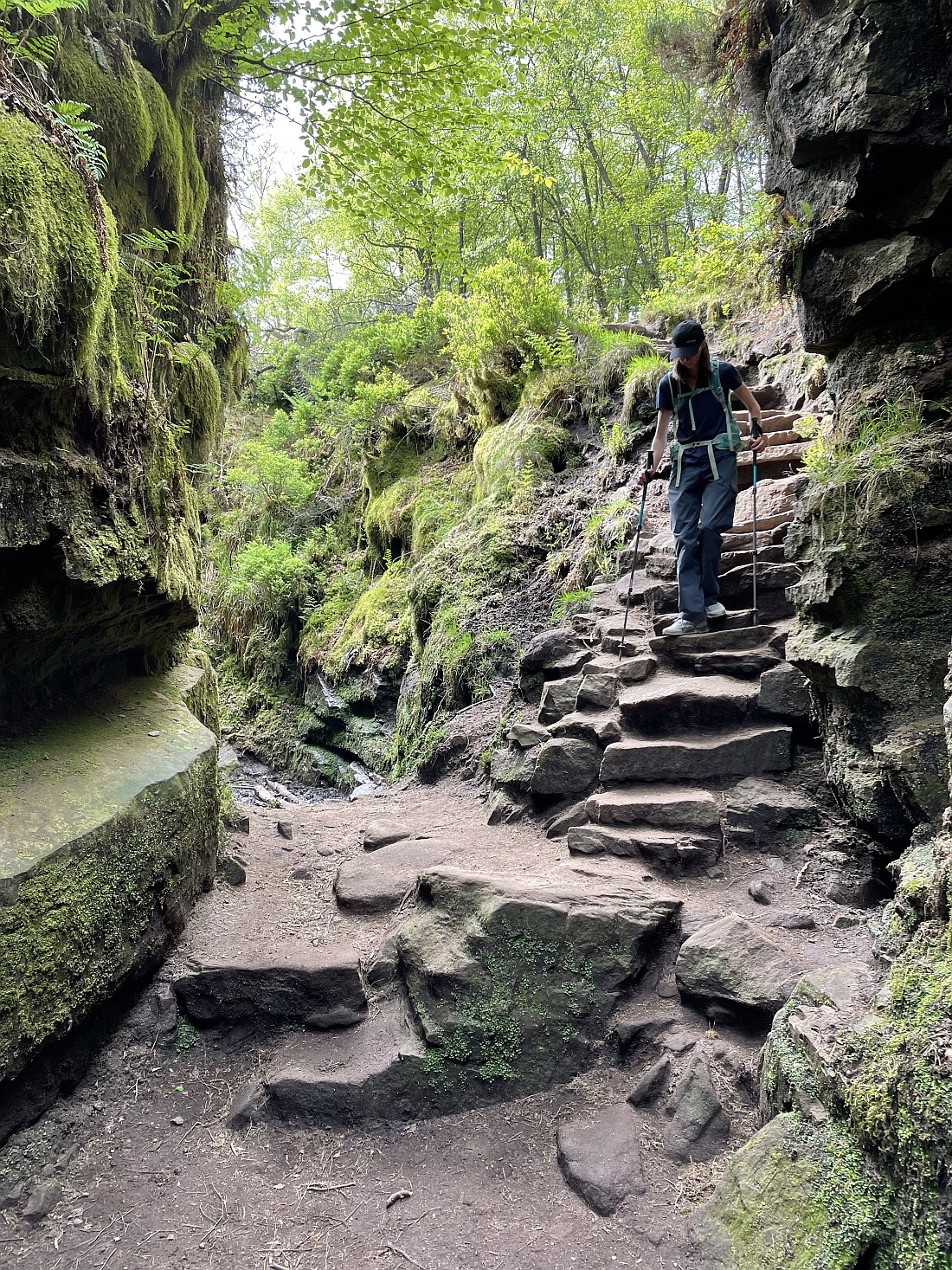 Steep, slippery steps down to Lud's Church