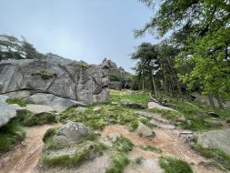 Climbers at the Roaches