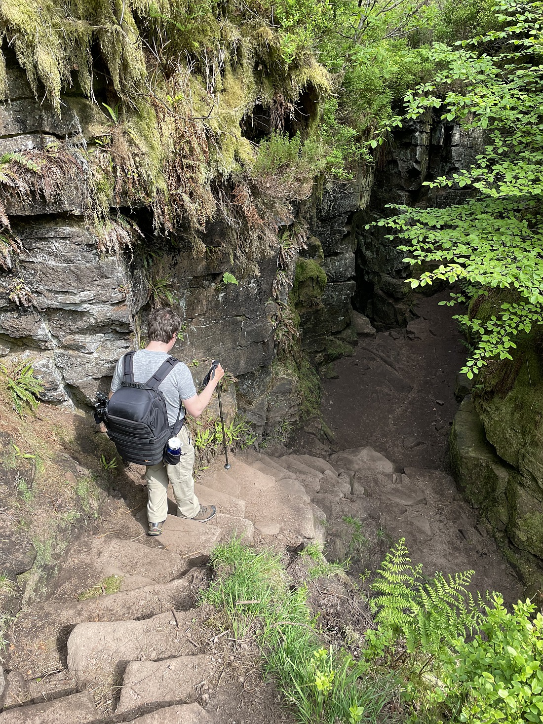 Steep, slippery steps down to Lud's Church